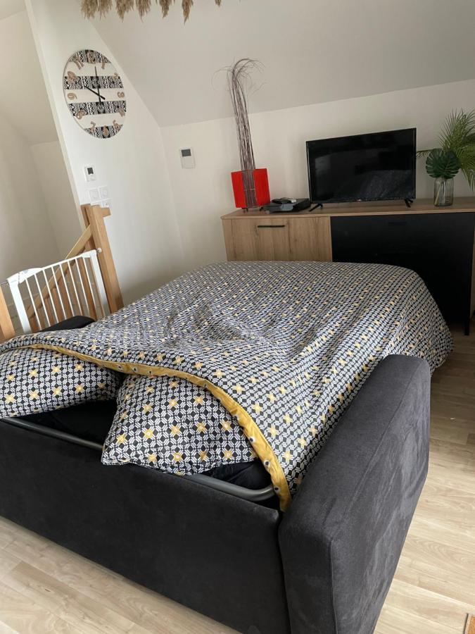 Bel Appartement « The Lion King » Proche Disney Montévrain Kültér fotó